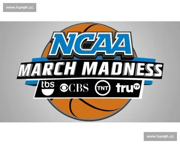 基于用户兴趣偏好的篮球比赛智能推荐与观赛体验升级方案研究