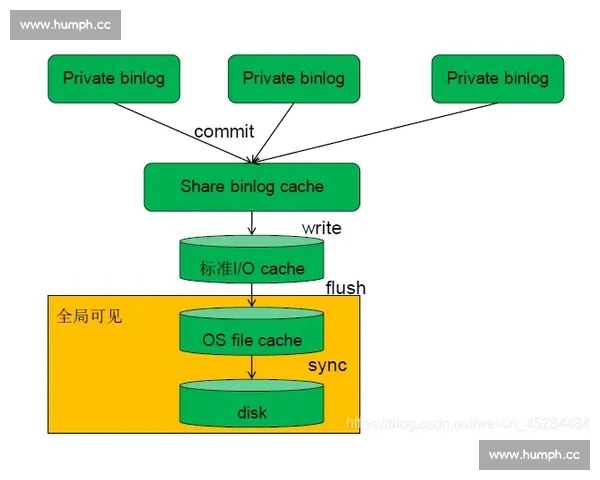 全面解析体育赛事基本概念与核心要素体系详解指南入门学习参考