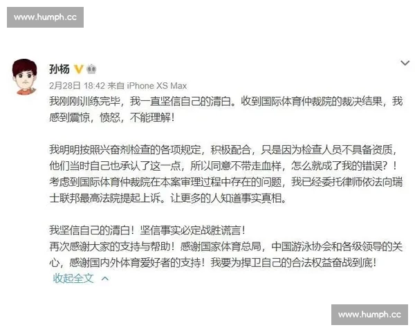 全面解读体育比赛判罚规则与裁决标准解析指南及常见争议处理原则详解 - 副本 - 副本
