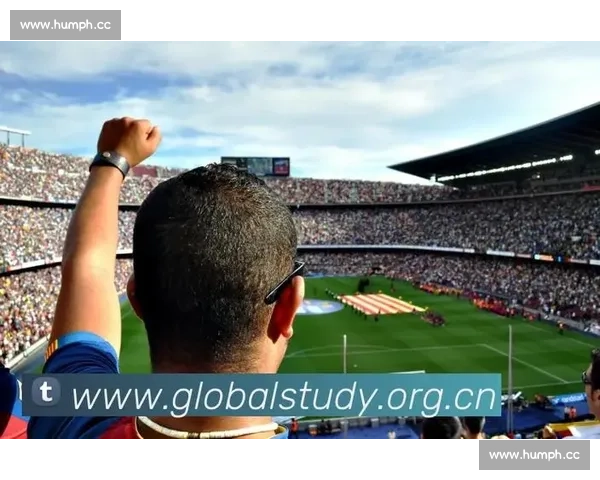 聚焦体育赛事官方直播精彩瞬间全程报道平台升级创新体验服务全面开启 - 副本 - 副本 (2)