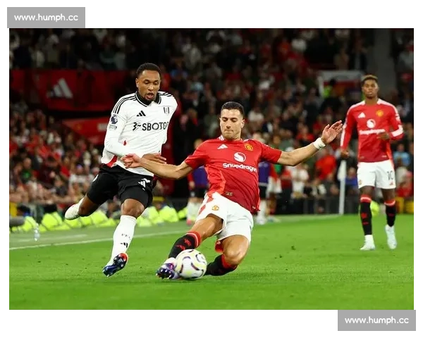 足球世界杯是什么全球最高水平国家队足球盛会全面解析与历史发展 - 副本 - 副本 (3)