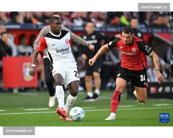 德国足球甲级联赛全方位解析：历史、球队、球员及赛事特色 - 副本