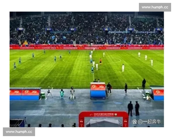 绿茵场激战瞬间回顾球星精彩表现与赛场激情故事 - 副本 - 副本 (2)